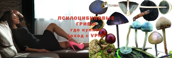 метадон Дмитровск