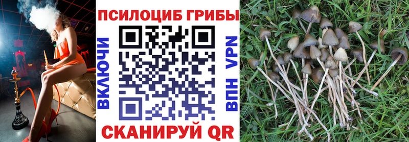 Псилоцибиновые грибы Psilocybine cubensis Пестово